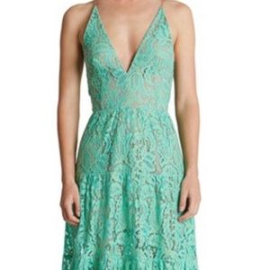 Dress the Population Lace Fit and Flare Dress